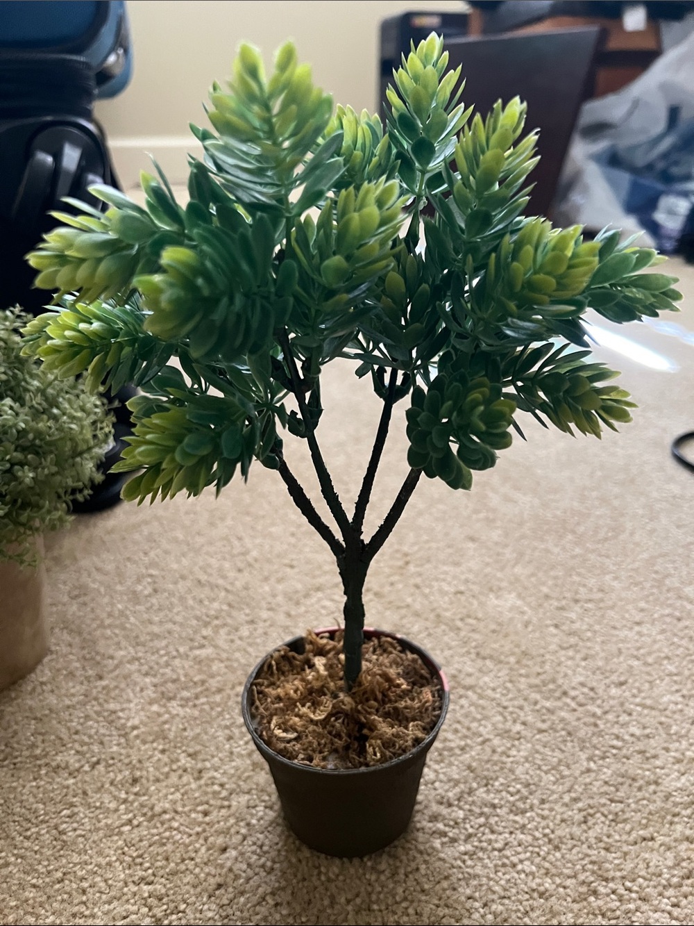 Artificial Mini Succulent Tree - Green -
